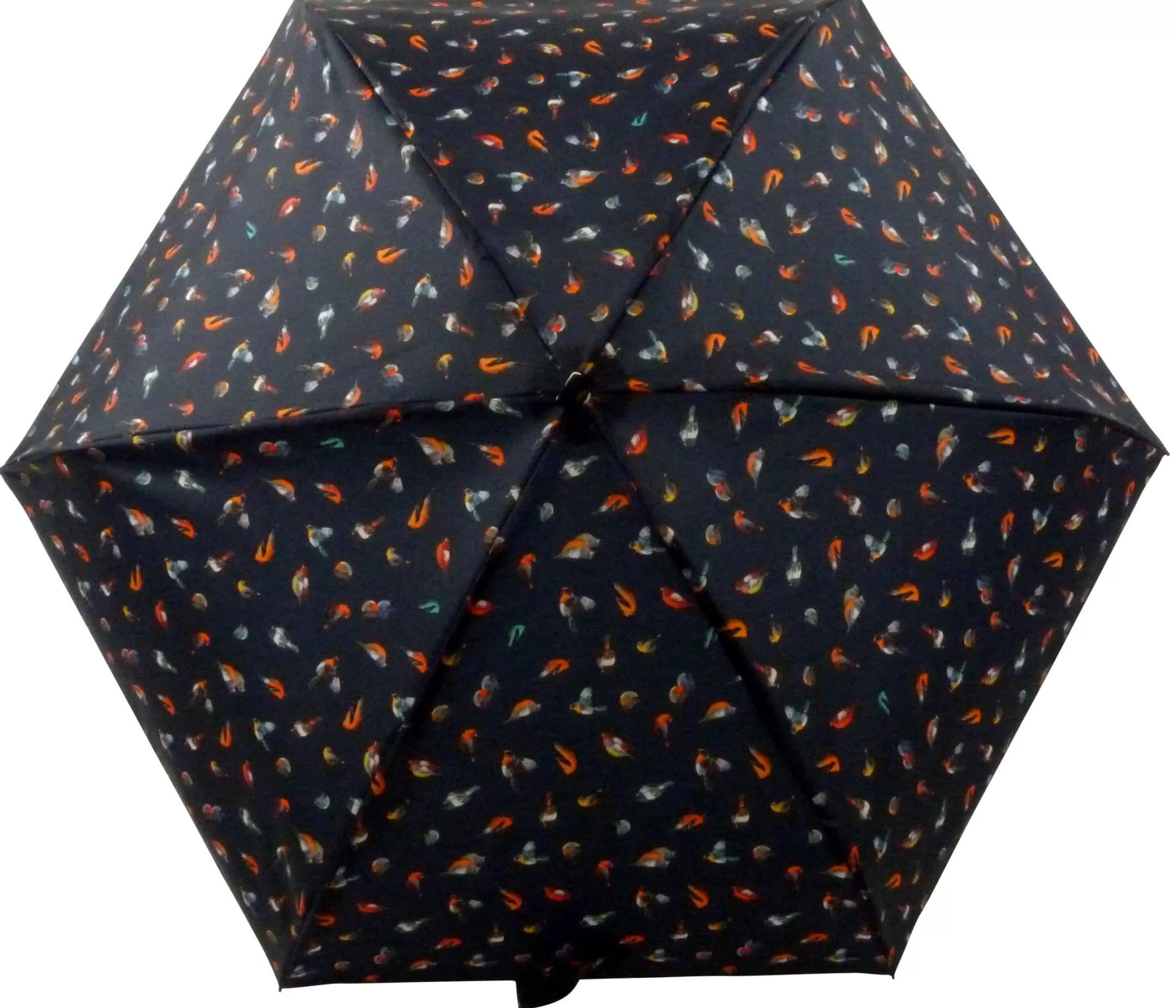 5011 Oiseau Marine-Guy de Jean Discount