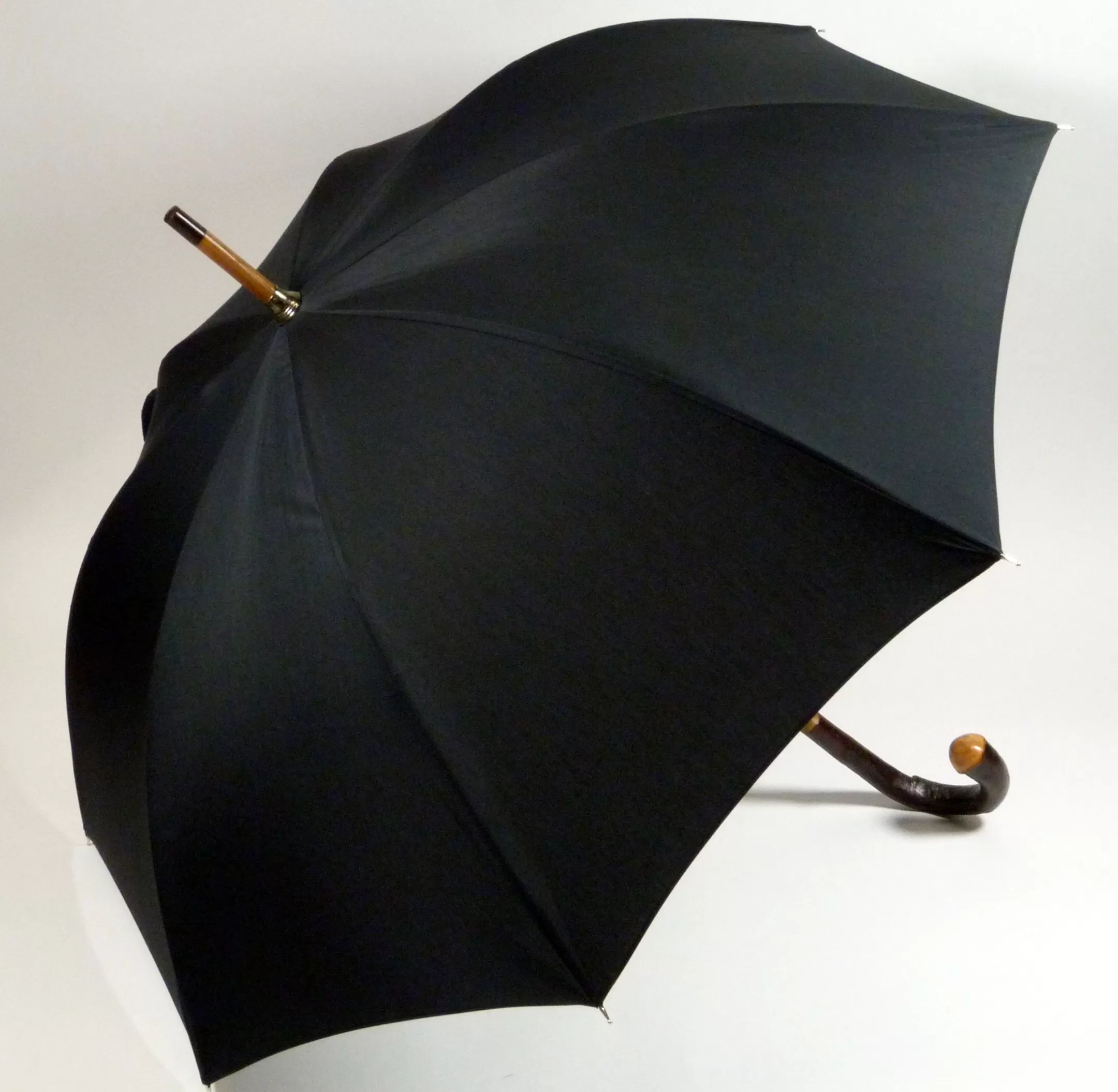 Chataignier-Guy de Jean Clearance
